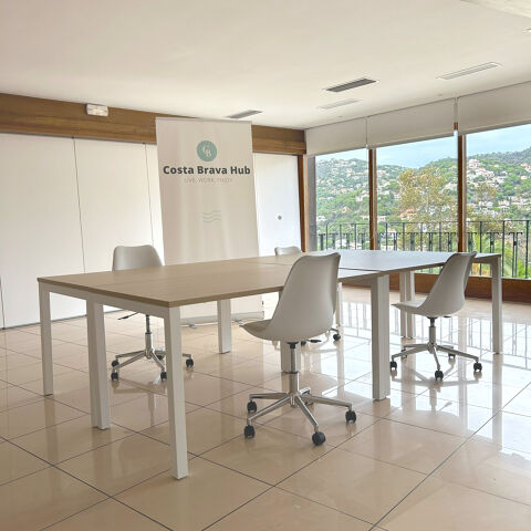 Private Business Meeting Room